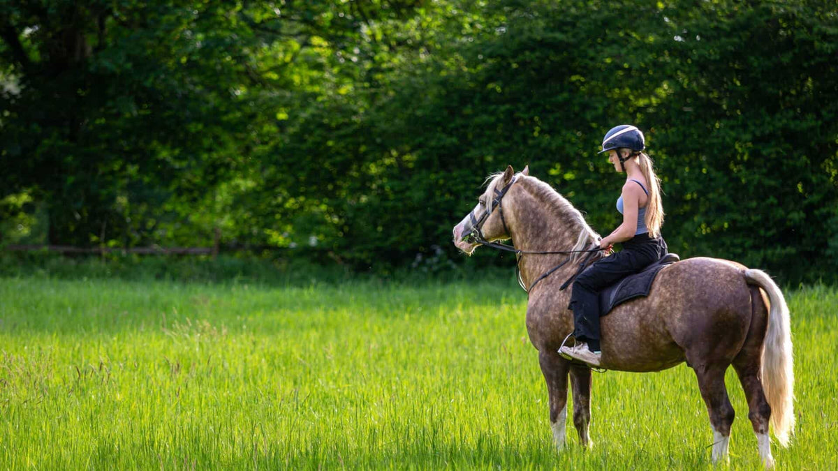 20 percent rule for horses