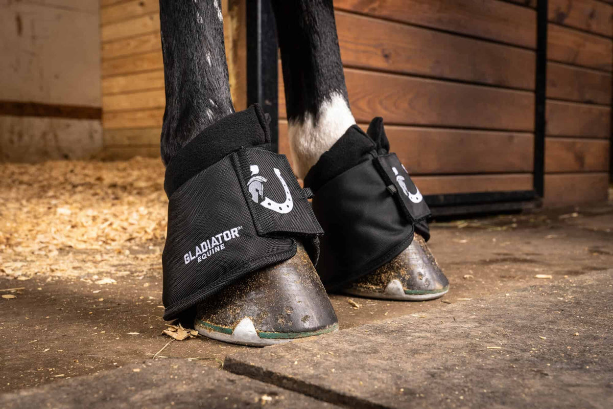 Horse wearing hoof boots in a stable