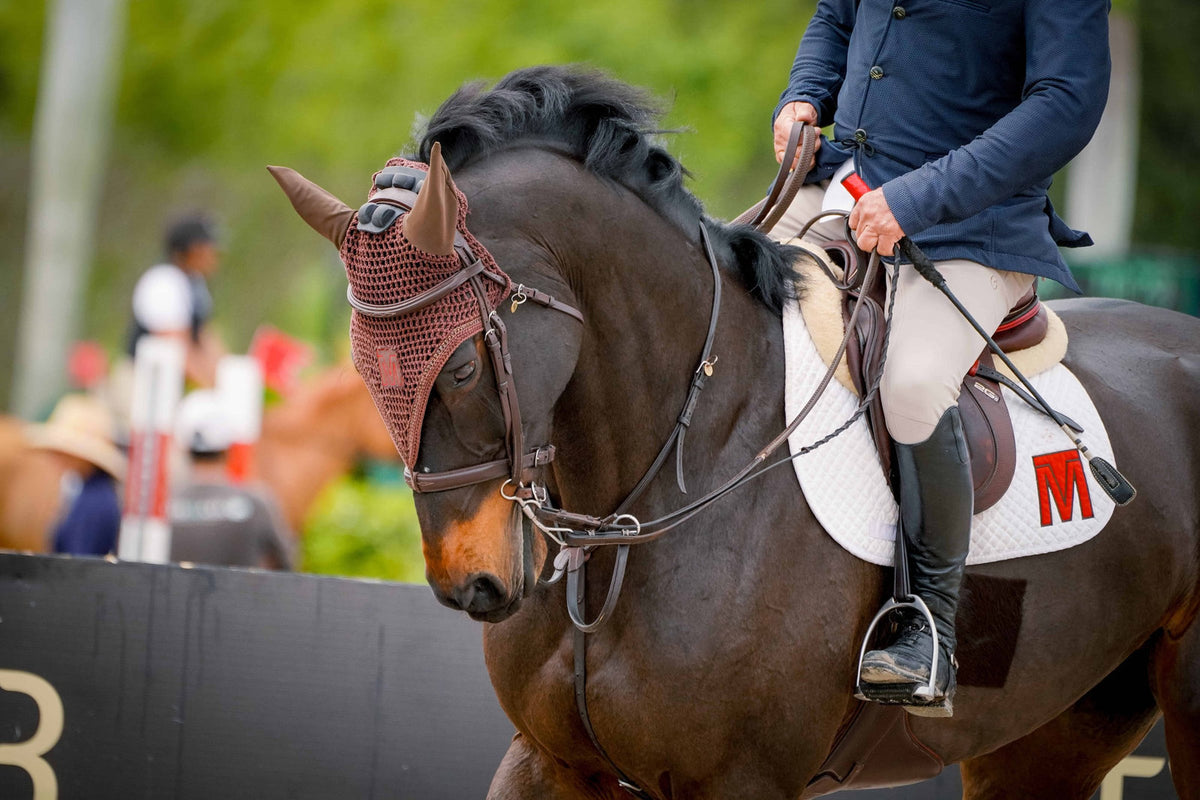 Show jumper in a Gladiator bonnet at a competition
