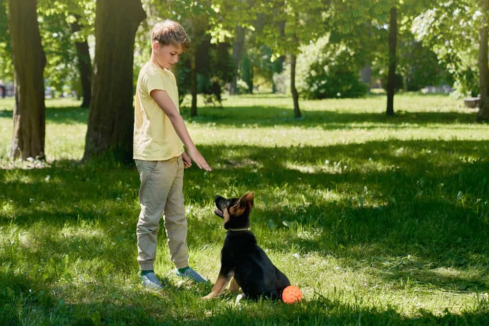 How to Start Potty Training Your Puppy: Tips and Tricks