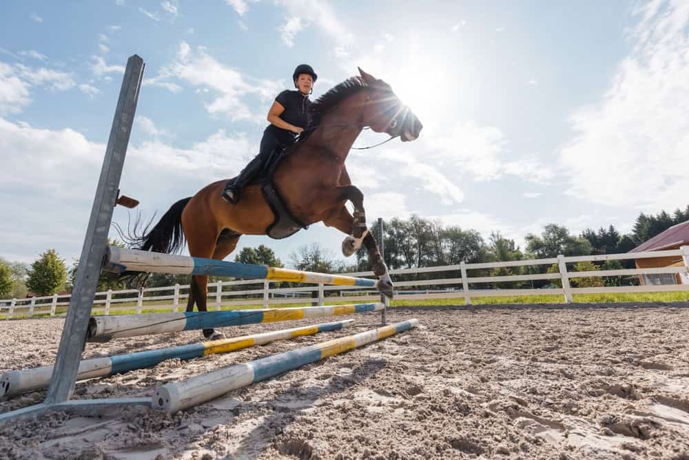 Equestrienne jumping a hurdle on horseback