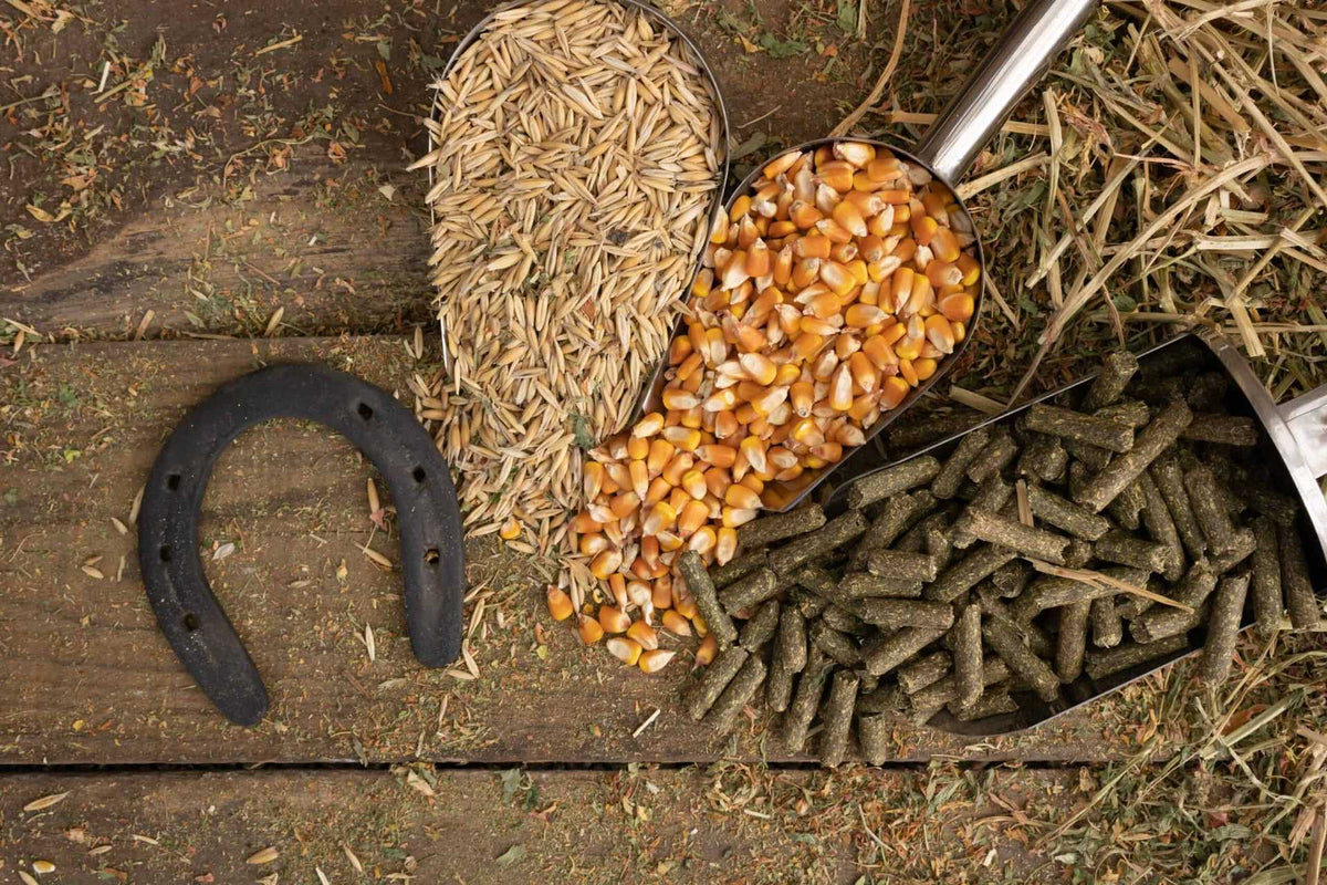 Balanced horse feed ingredients with horseshoe