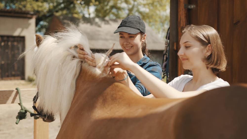 Two young girls with a pony