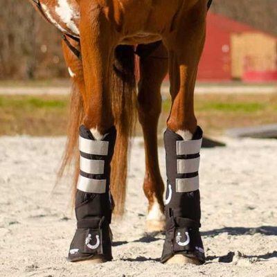 A horse wearing PTR Fetlock Wraps and Bell Boots on both front legs