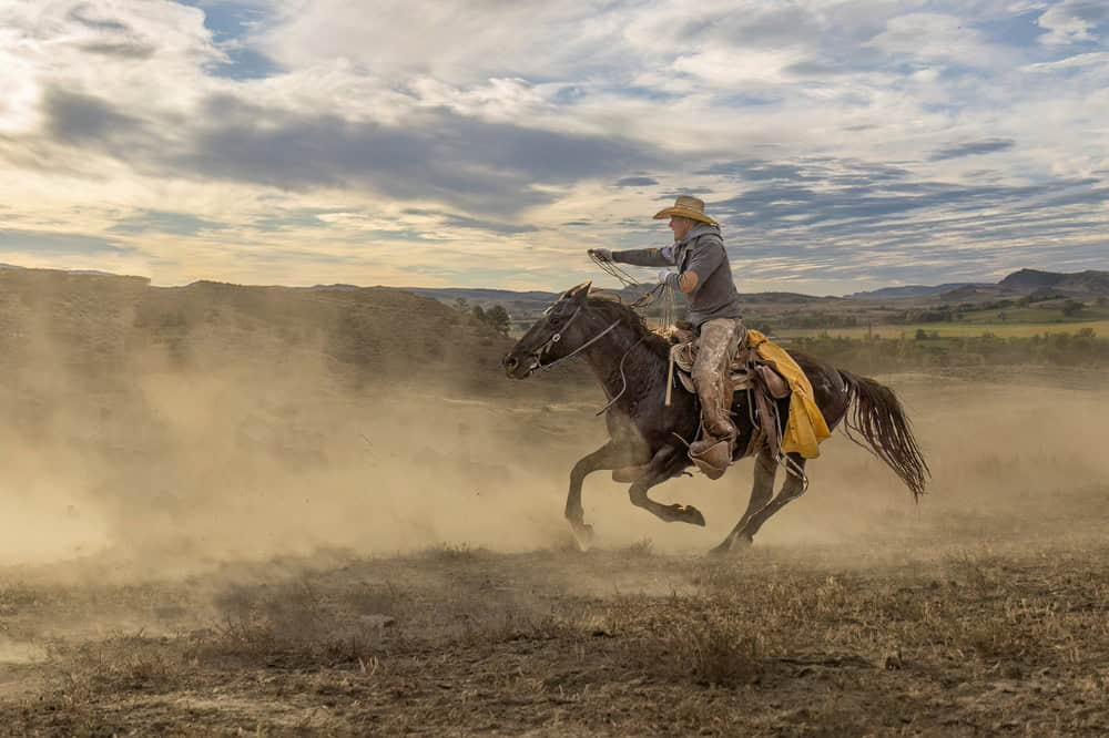 A wild west cowboy galloping on a horse on a ranch