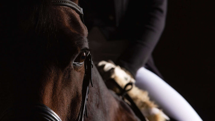 Equine Dressage