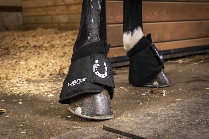The Evolution of Protection: Understanding Bell Boots and Their Therapeutic Advancements