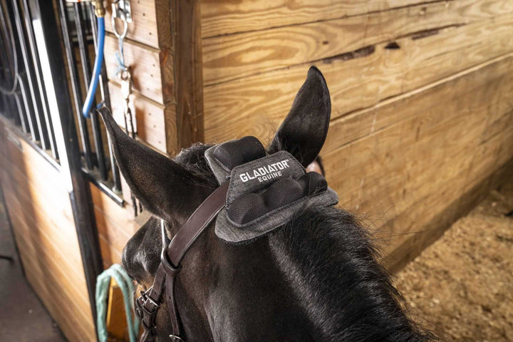 The Importance of Stress Management in Horses: A Gladiator Equine Insight