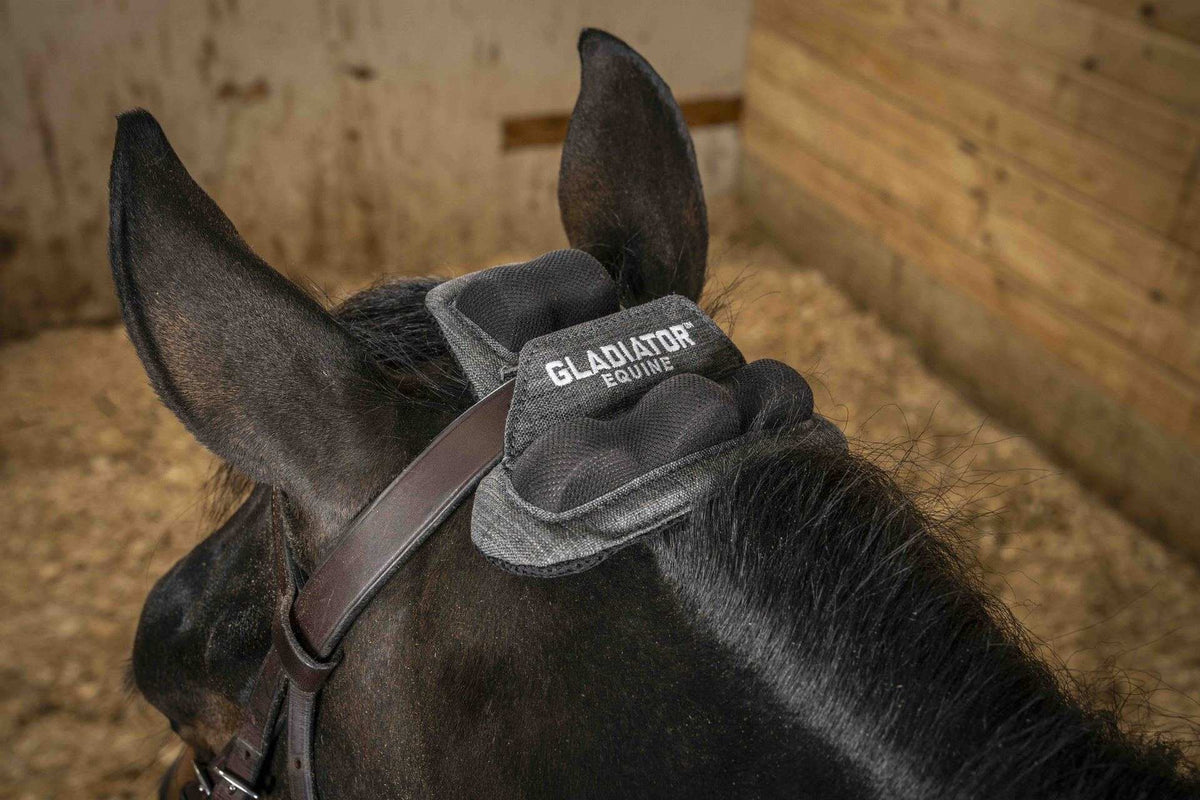 Gladiator REIGN EASE Pro ear bonnet on horse