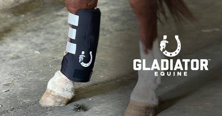 fetlock wrap | gladiator equine