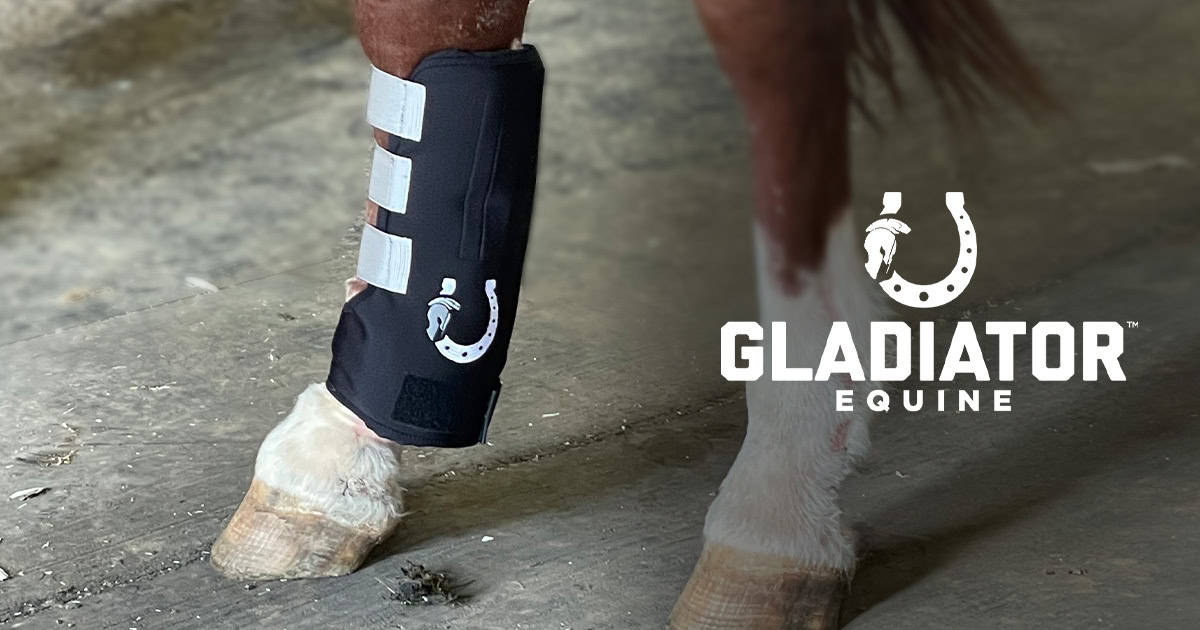 fetlock wrap | gladiator equine