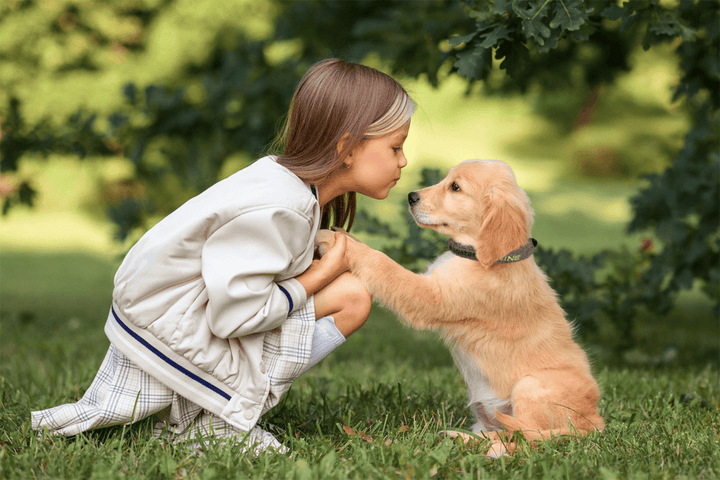 Small kid playing with dog