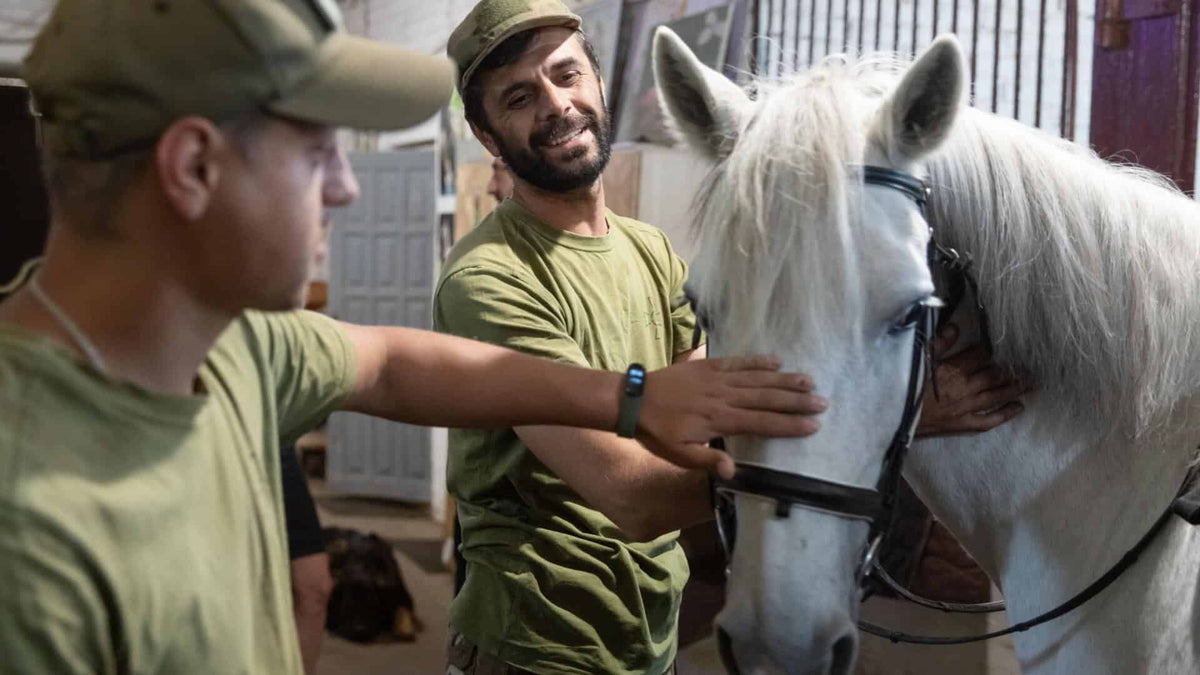 equine rehabilitation