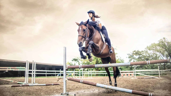 equine sports