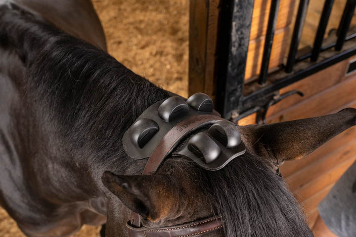 equine stress blog gladiator equine