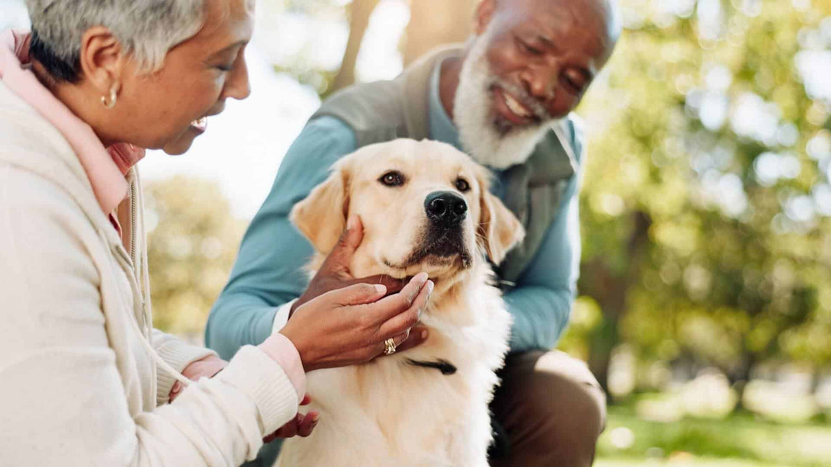 extend your dog's life