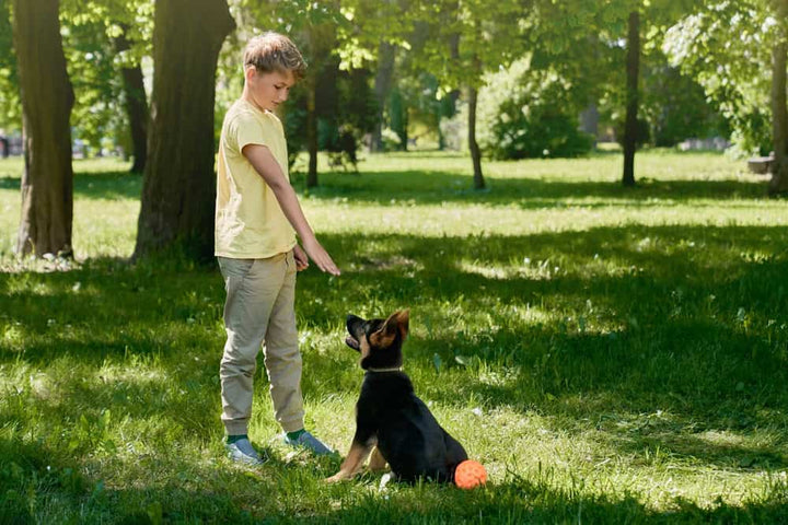 How to Start Potty Training Your Puppy: Tips and Tricks