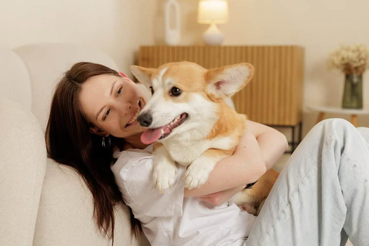 How to Build a Strong Bond with Your Dog