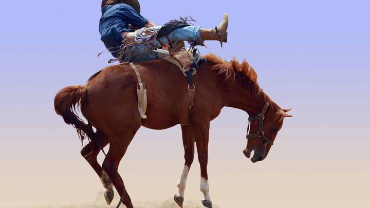 horse bucking