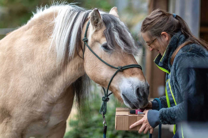 Female equestrian shopping for horse equipment