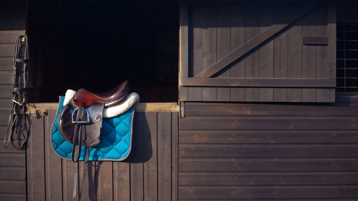 horse tack