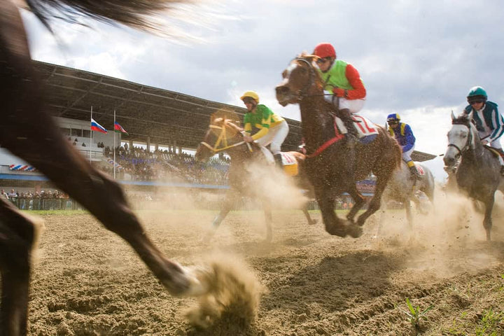 Jockeys racing horses at full gallop