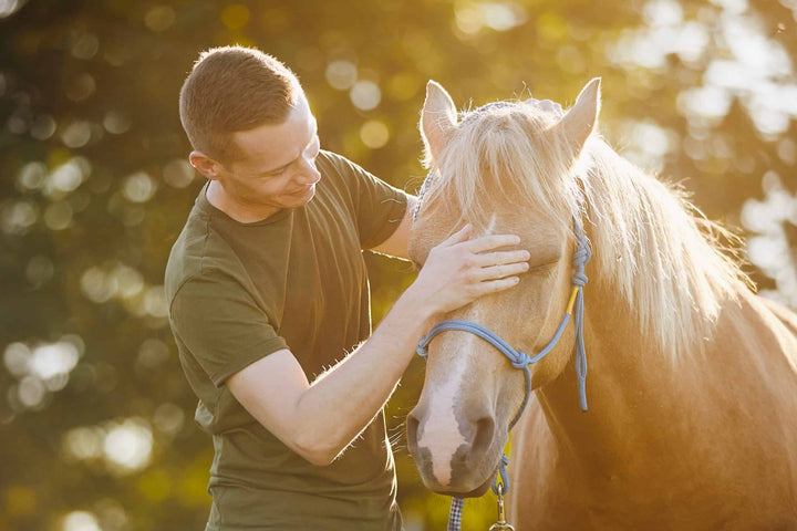 Person hugging therapy horse (hippotherapy)