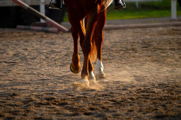 Horse hooves galloping on dirt