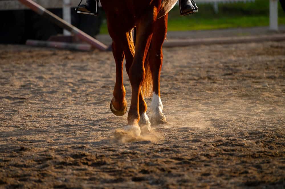 Horse hooves galloping on dirt