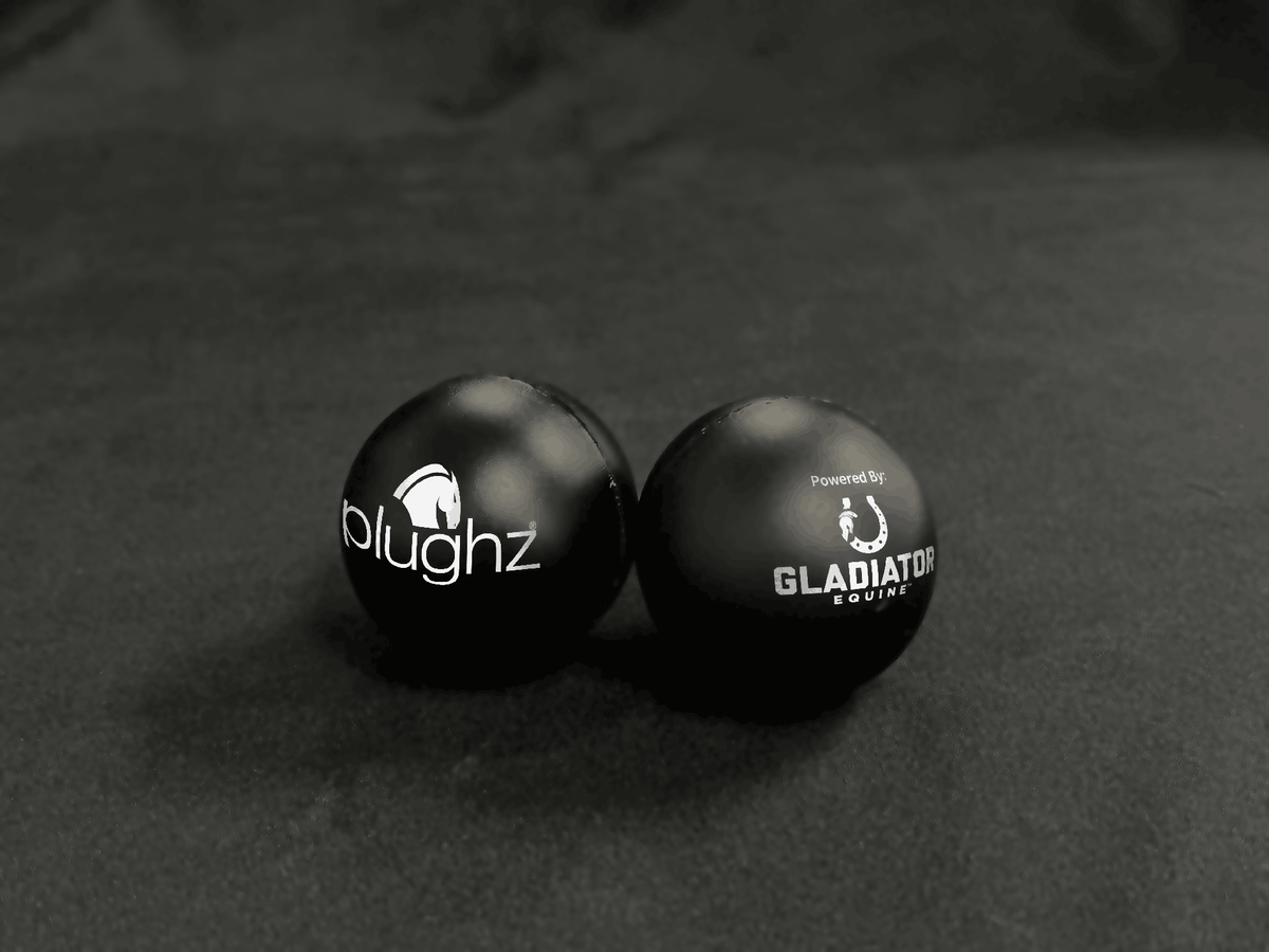 plughz powered by gladiator equine next generation ear plug technology