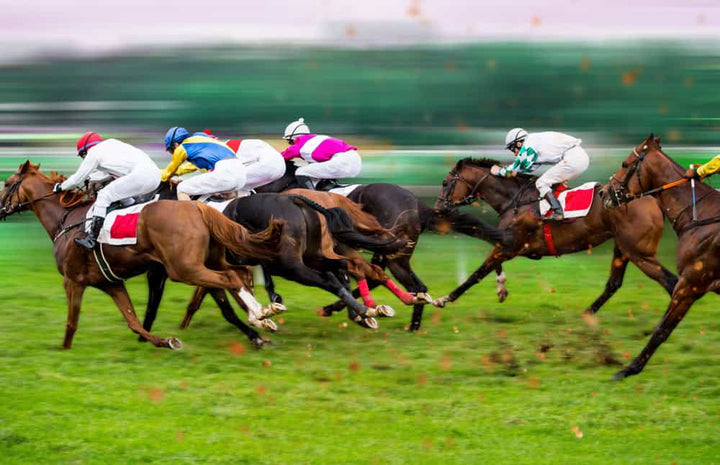 Racehorses with jockeys on home straight