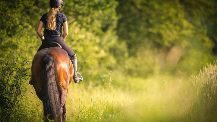 ride your horse