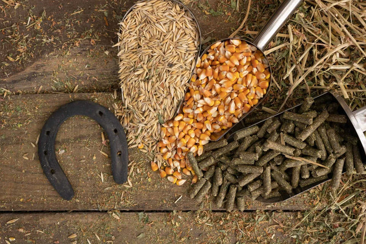 Balanced horse feed ingredients with horseshoe