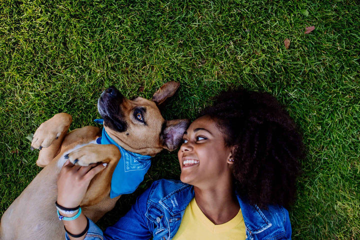 Female playing with dog