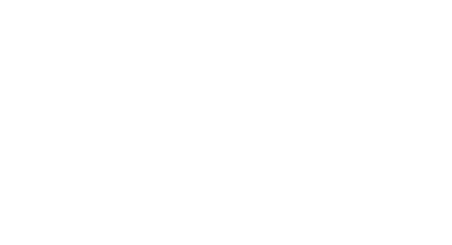 Gladiator Equine